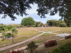 -风云岭森林公园