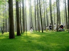 -渡海小渔村.老辈日照菜