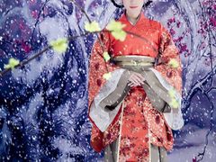 昭君-九月鹰飞汉服摄影工作室