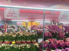 -越秀西湖花市(广州城市广场花卉店)