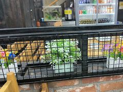 -老五烧烤(石牌岭店)