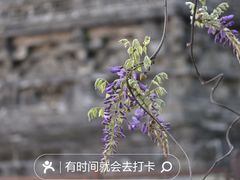 -八大处公园