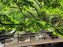 -宁波五龙潭景区