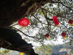 -南靖田螺坑土楼群景区