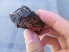 -都士牧人现烤牛肉干
