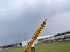 -栖露营camping·天幕烧烤·团建拓展·采摘营地