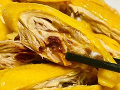 -巫记鸡饭店