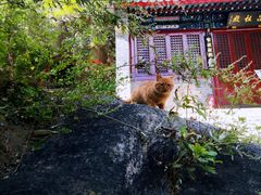 -北京凤凰岭