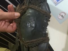 -纽顿熟食中心