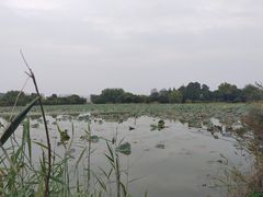 -云龙湖旅游景区