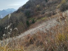 -石砭峪水库