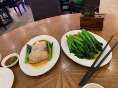 -富豪酒家(正大广场店)