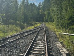 -莫尔道嘎国家森林公园