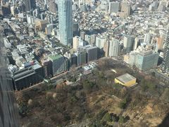 -东京都厅舍