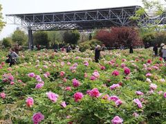 -合肥三国新城遗址公园