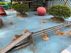 -百万葵园