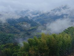 -四明山国家森林公园