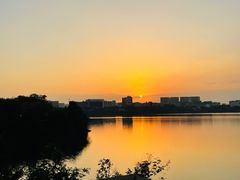 -立新湖公园