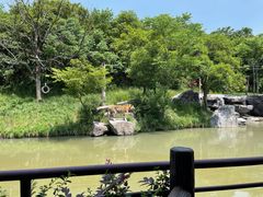 -宁波野生动物园