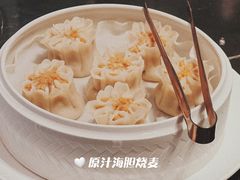 -海派悦庭·海胆烧麦·新融合菜(凯德广场店)
