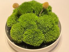 -醉辉皇原味海鲜江南菜(成都大魔方店)