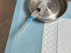 -派联宠物医院·24h·CT·异宠