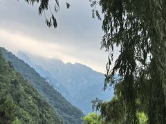 -陕西省红河谷森林公园