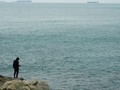 -西涌国际滨海旅游区