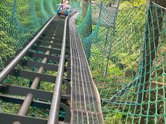 -藏龙百瀑风景区