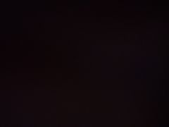 -百年义利(刘家窑店)