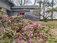 -海棠花溪(元大都城垣遗址公园)