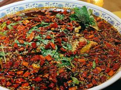 杨记招牌鱼-杨记隆府(白象街店)