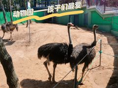 -西霞口神雕山野生动物世界