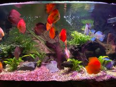 -上海海洋水族馆