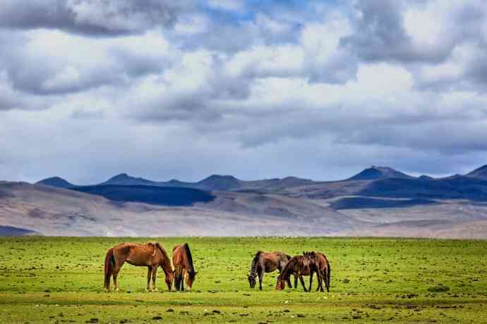 哲古草原-"当地朋友带我走的非常规旅游路线,山南哲古.