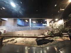 -北京周口店北京人遗址博物馆