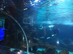 -石家庄海洋公园