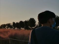 -花博汇(知音花月夜)