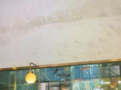 -顺峰顺水顺德菜(龙华店)