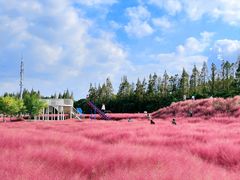 -嘉北郊野公园