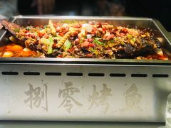-京城·森鸽排档(双井店)