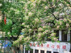 -全季酒店(重庆上清寺牛角沱地铁站店)