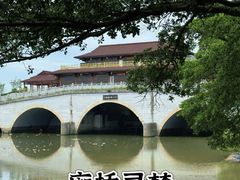 -大湾区中央湿地公园