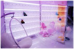 -P.STYLE 派斯造型