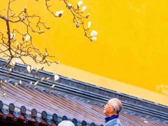 -灵谷景区