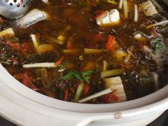 石斑鱼-黑河坝泡姜鸡贡椒鱼(贾旗路店)