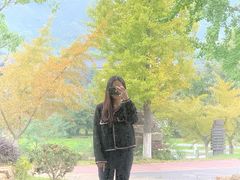 -龙寺生态园