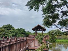 -海上田园