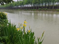 -合肥滨湖国家森林公园
