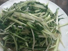 水性杨花-苍洱春饭店